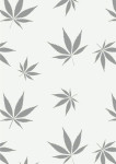 Cannabis
