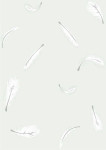 Feather