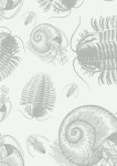 Trilobite
