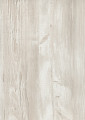 Pinie Cascina