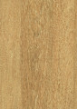 Hickory Přírodní